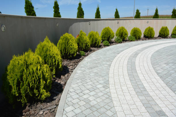 Reasons to Select Us for Your Driveway Paving Requirements in Honey Grove, TX